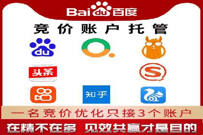 案例分析：SEM广告助力电商行业突破